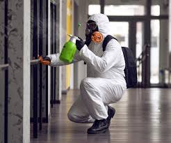 Best Basement Mold Removal  in Edmore, MI